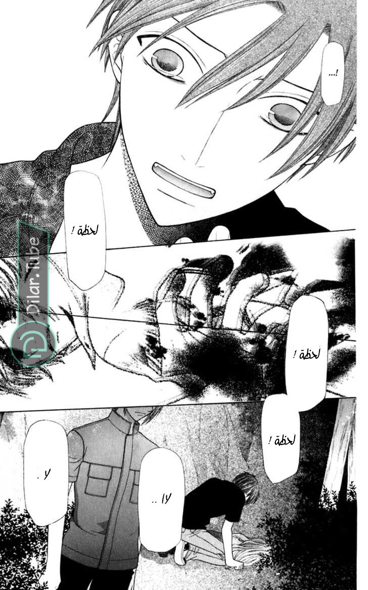 Read Fruits basket AR Manga Online