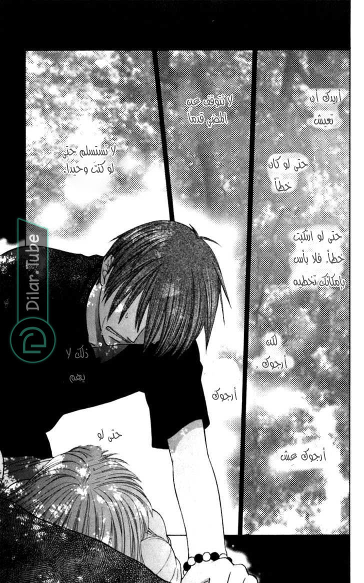 Read Fruits basket AR Manga Online