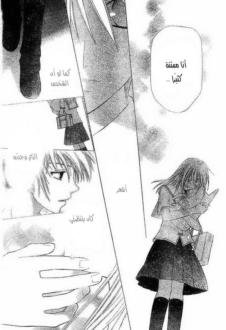 Read Fruits basket AR Manga Online