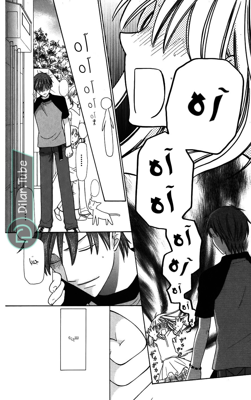 Read Fruits basket AR Manga Online