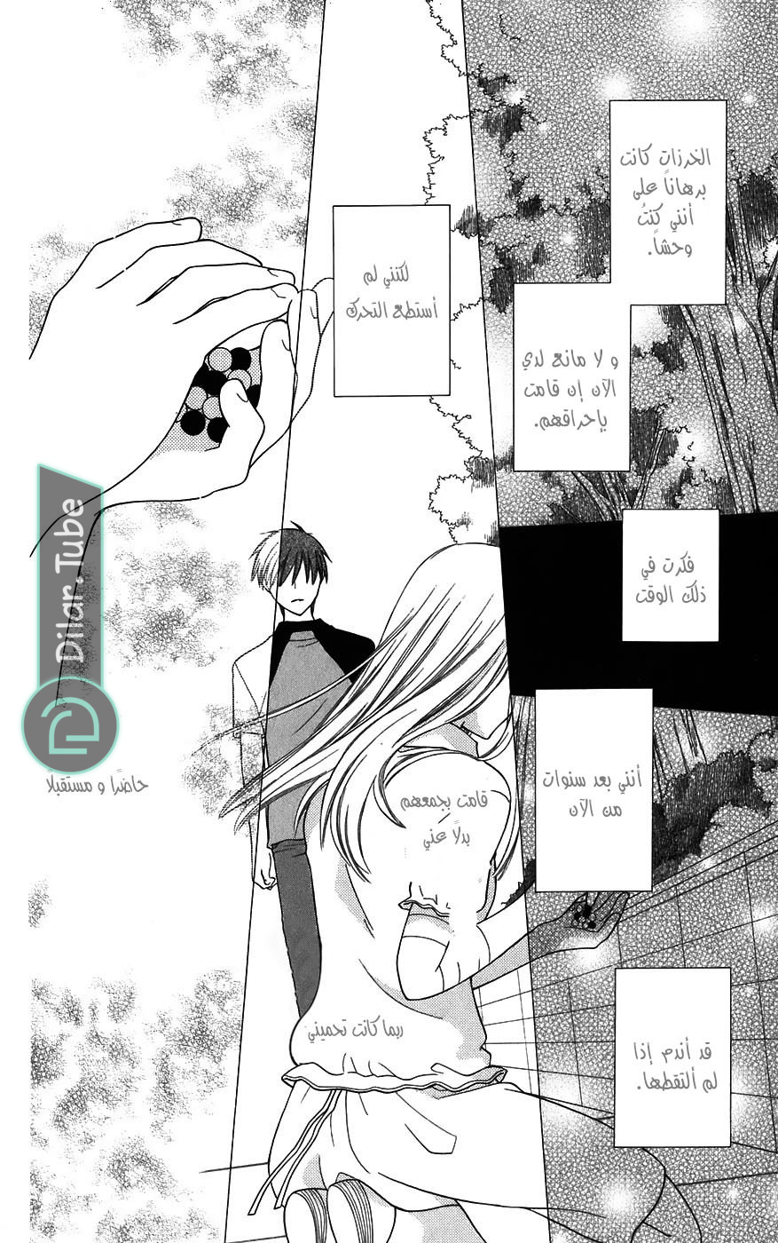 Read Fruits basket AR Manga Online