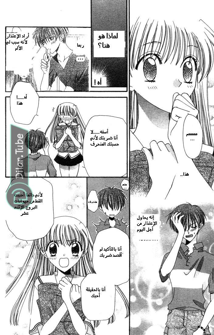 Read Fruits basket AR Manga Online