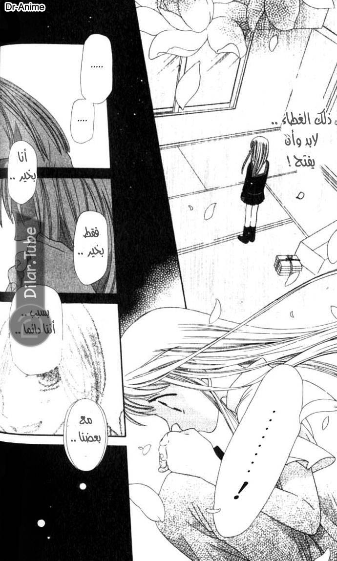 Read Fruits basket AR Manga Online