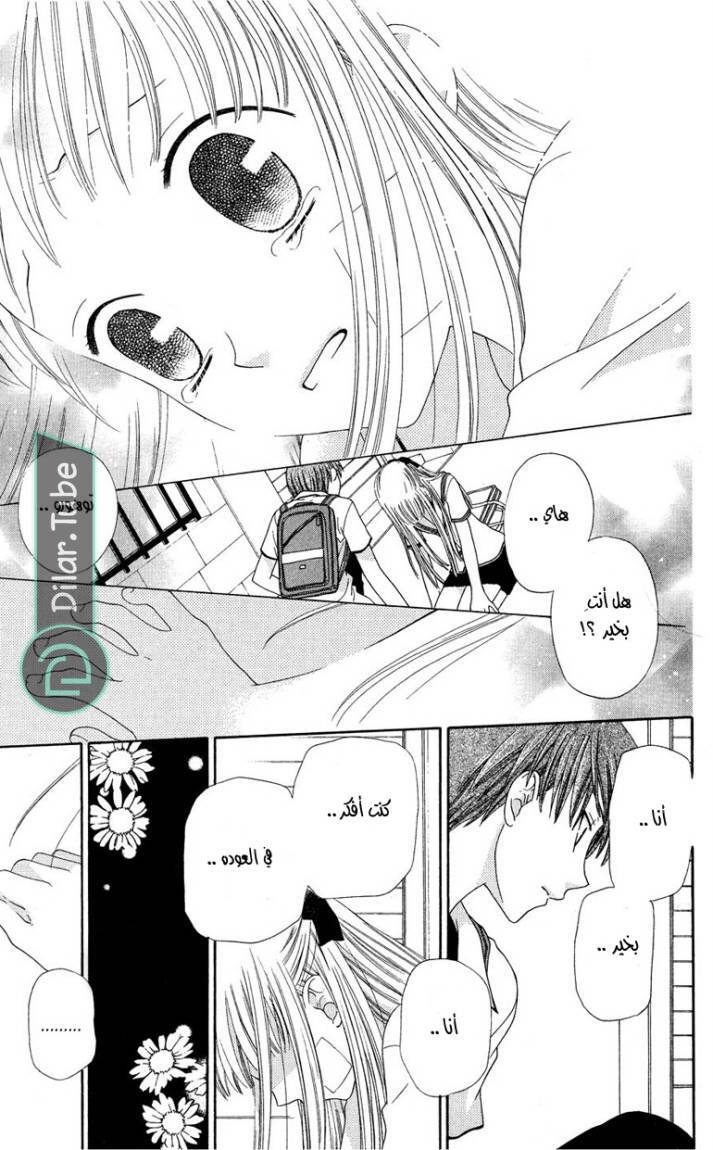 Read Fruits basket AR Manga Online