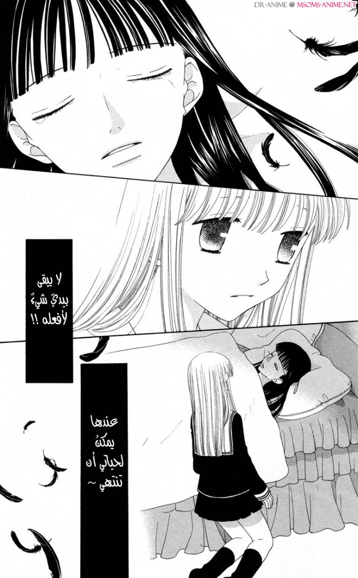 Read Fruits basket AR Manga Online