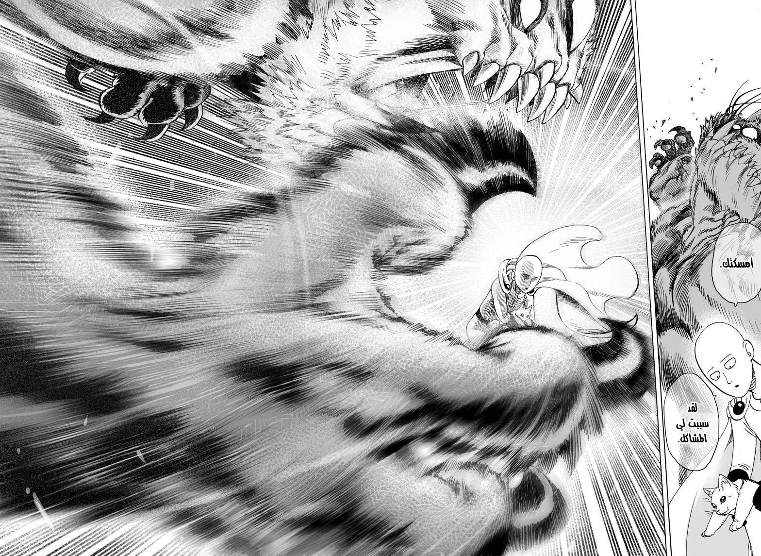 Read One Punch Man AR Manga Online