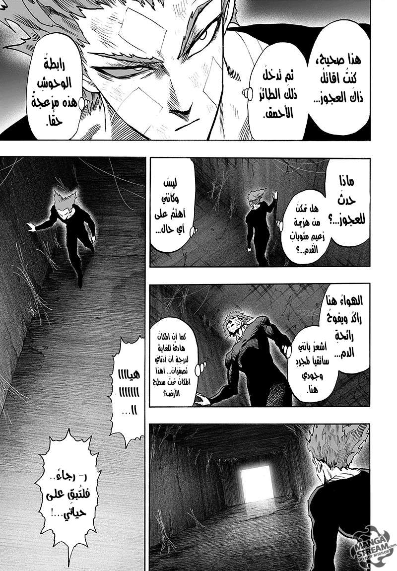 Read One Punch Man AR Manga Online