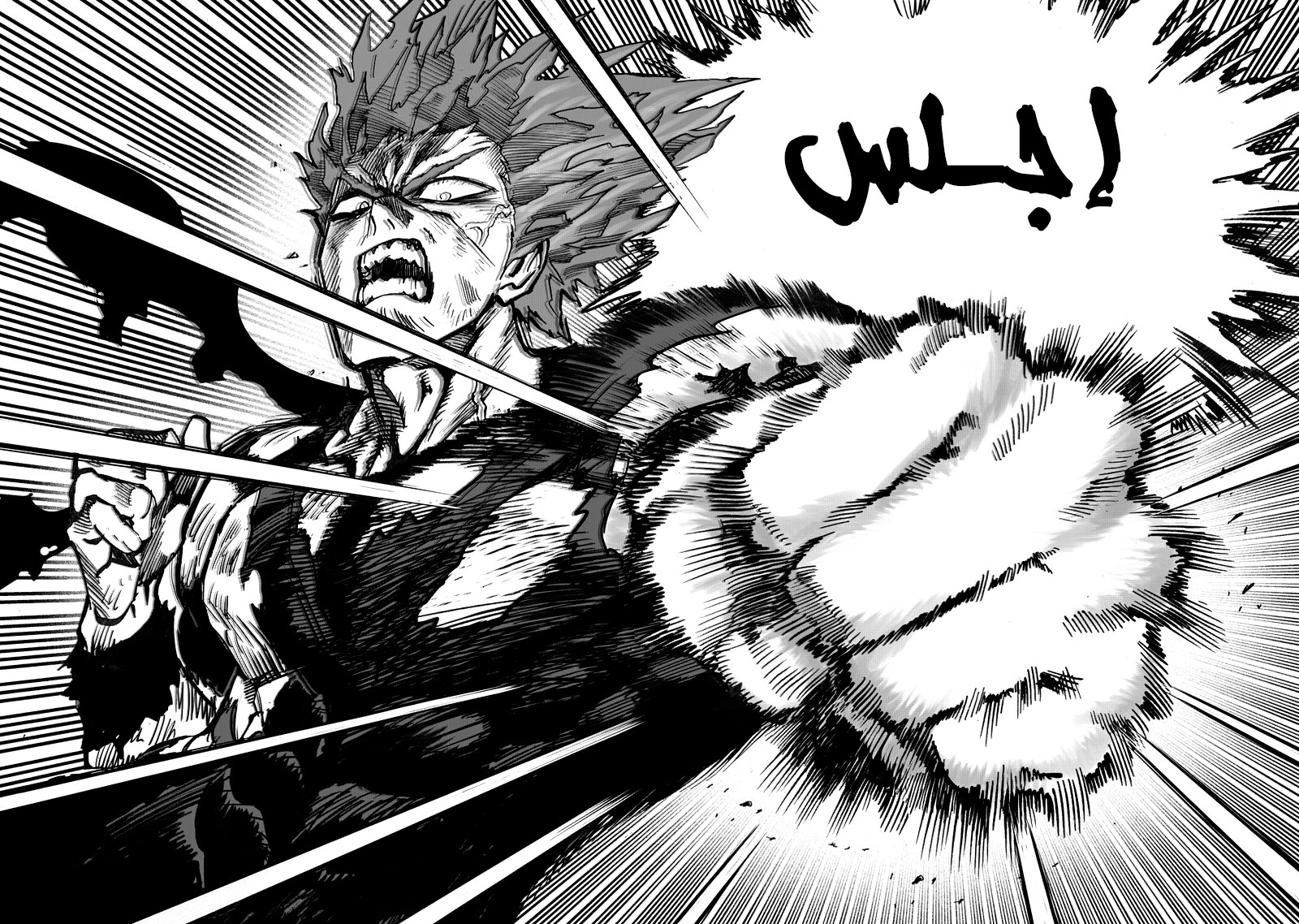Read One Punch Man AR Manga Online