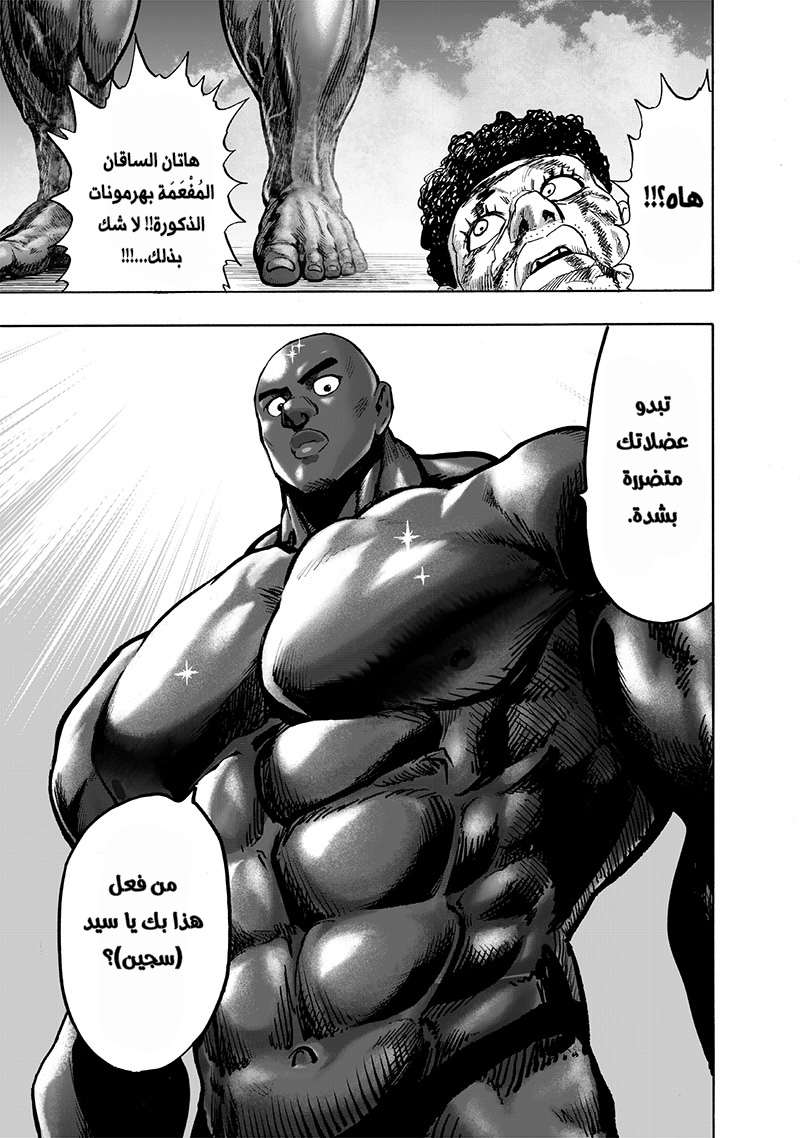 Read One Punch Man AR Manga Online