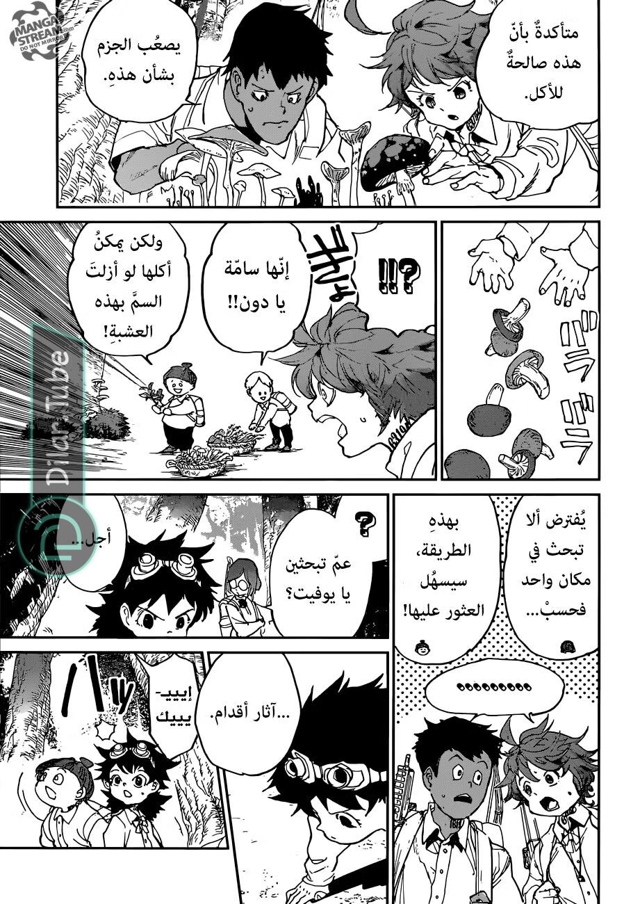 Read The Promised Neverland AR Manga Online