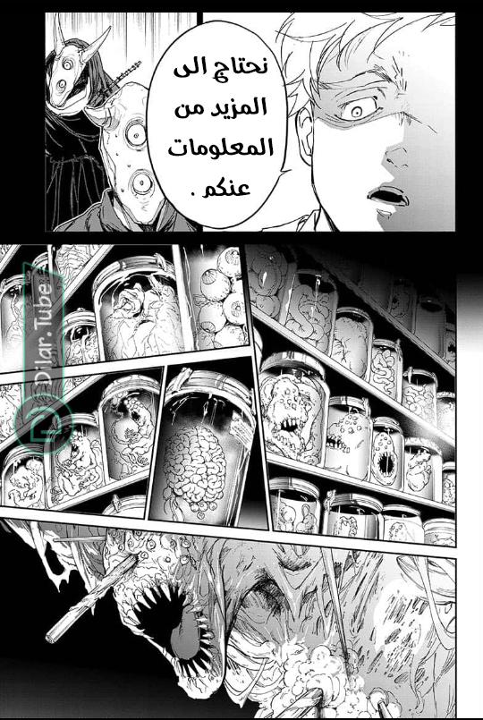 Read The Promised Neverland AR Manga Online