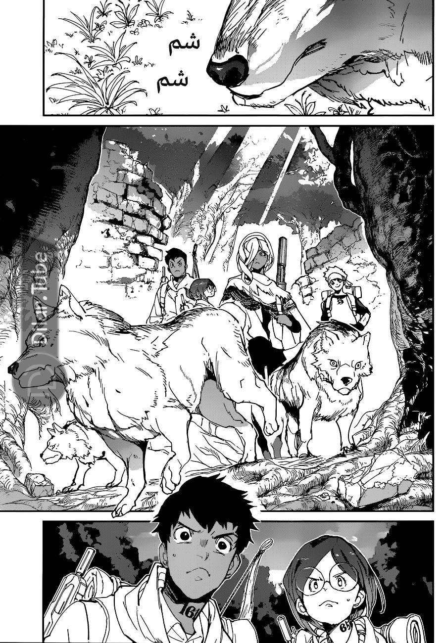 Read The Promised Neverland AR Manga Online