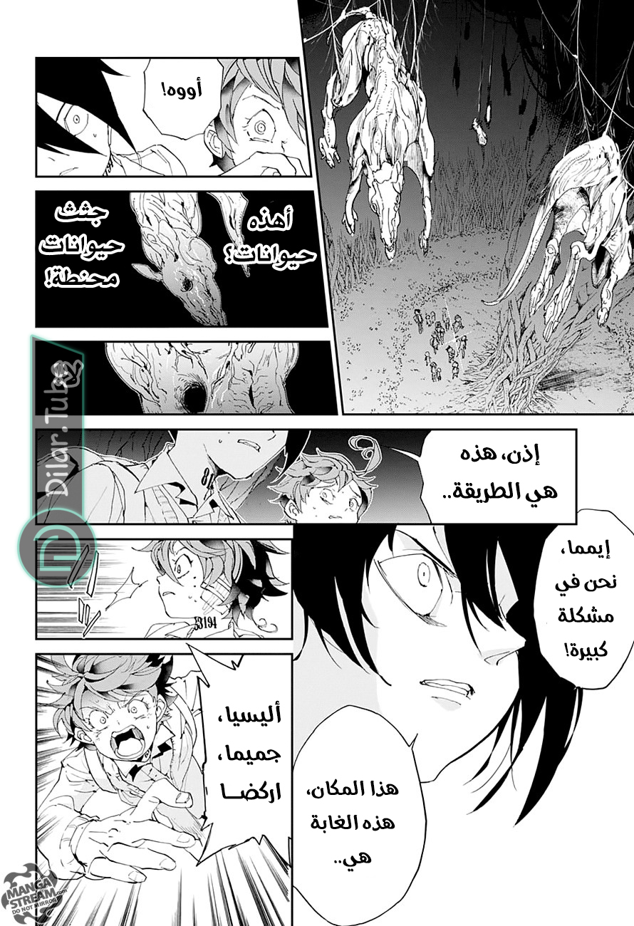 Read The Promised Neverland AR Manga Online
