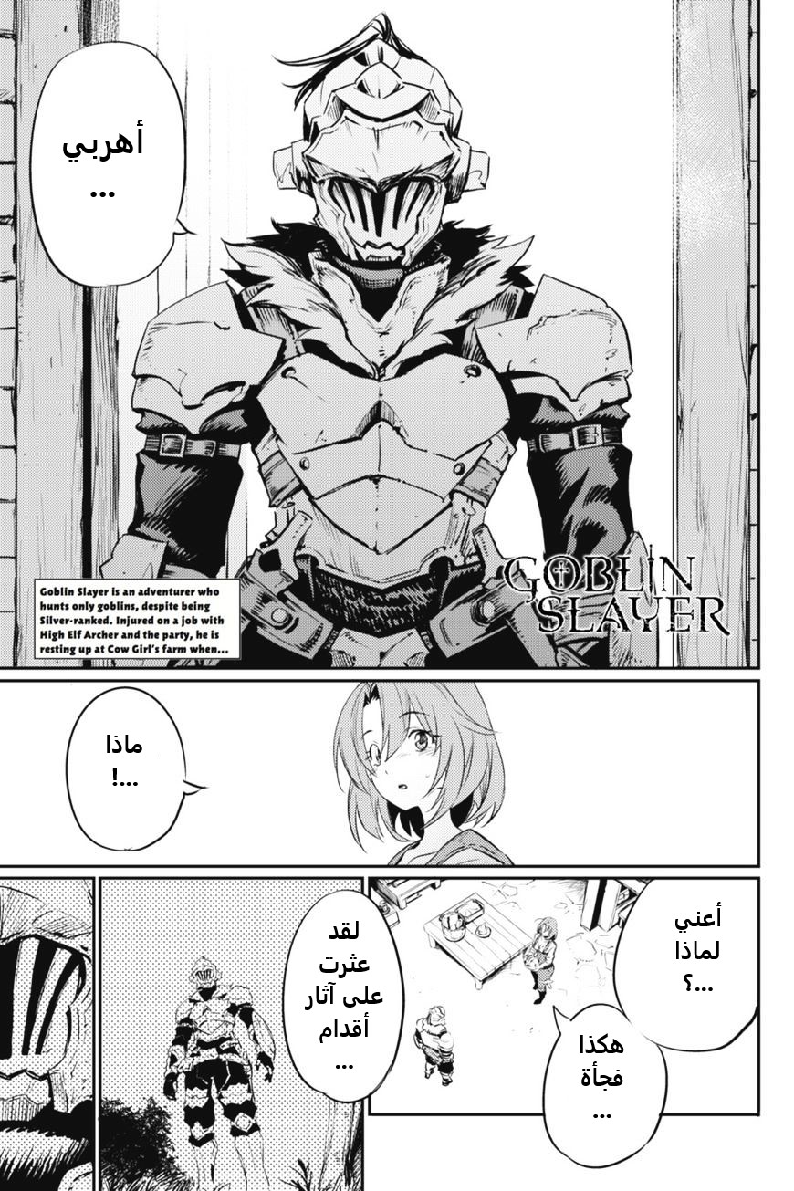 Read goblin slayer AR Manga Online