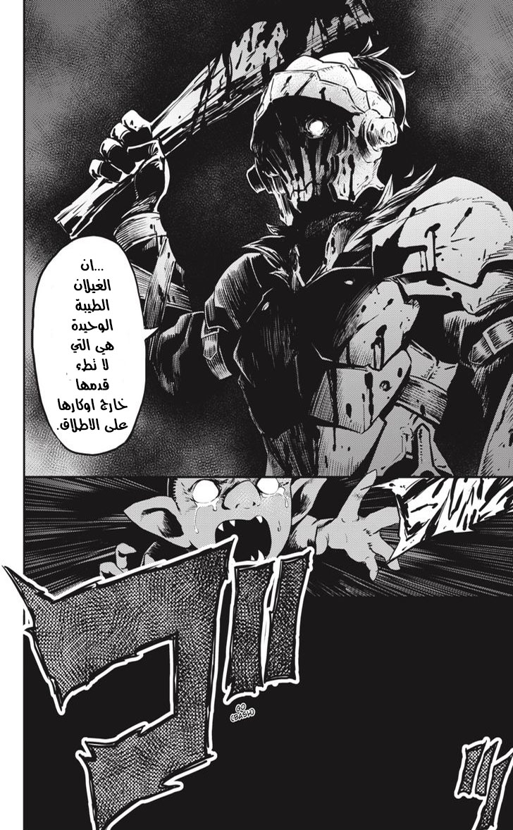 Read goblin slayer AR Manga Online