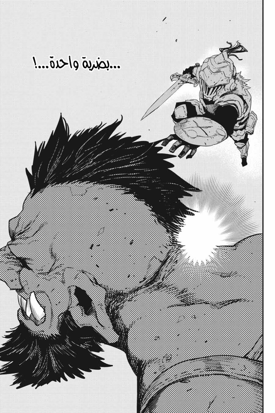 Read goblin slayer AR Manga Online