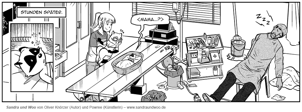 Read Sandra und Woo DE Manga Online