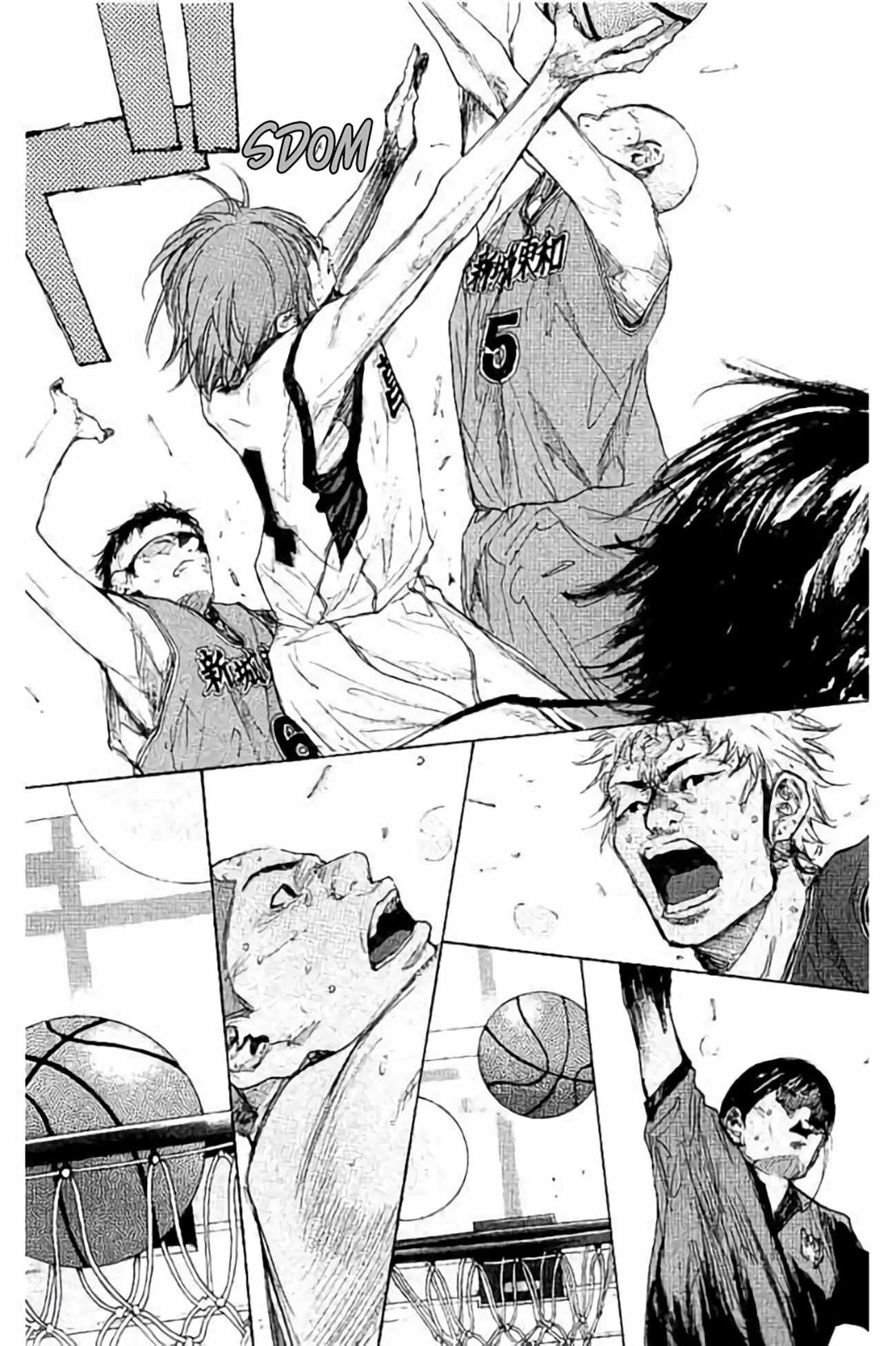 Read Ahiru no Sora en Manga Online