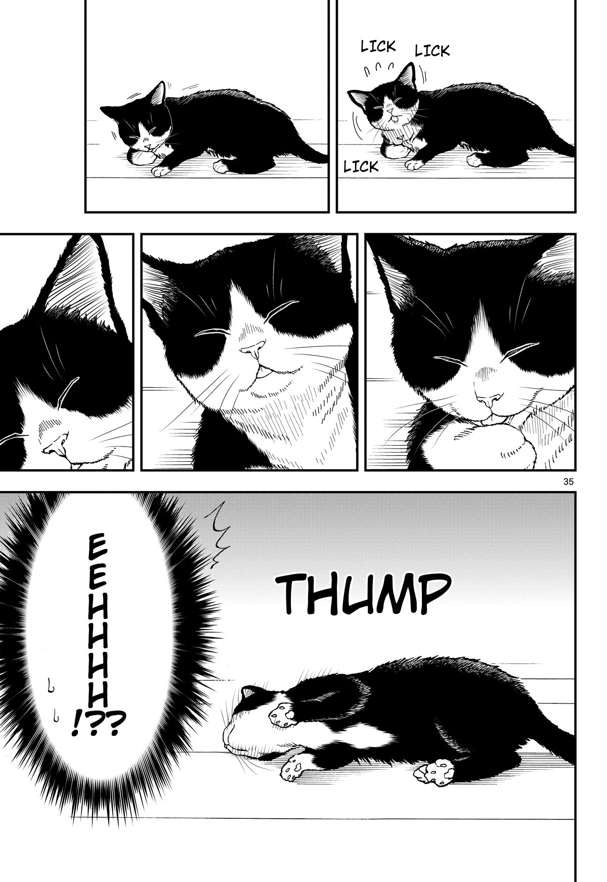 Read Cat + Gamer EN Manga Online