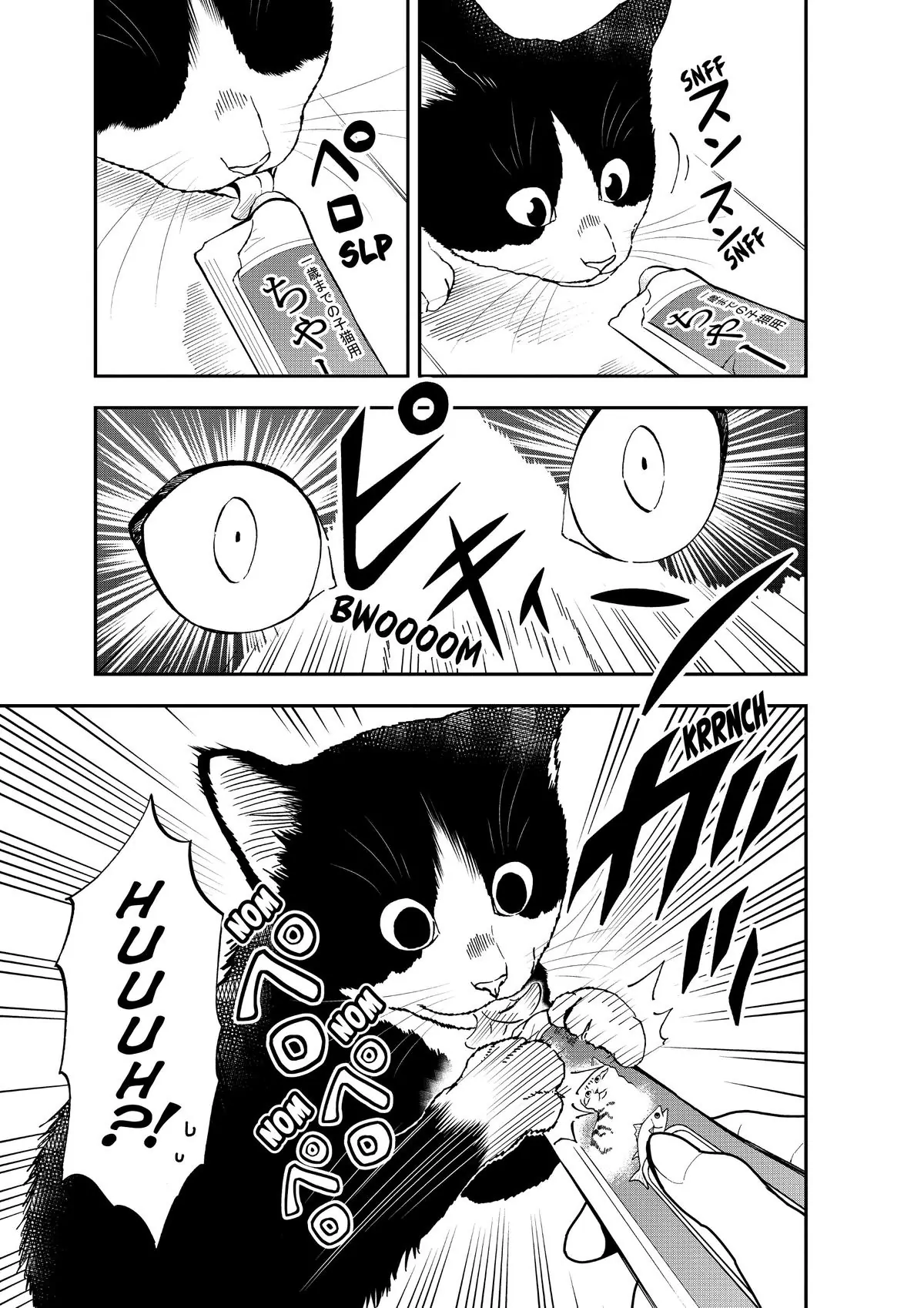 Read Cat + Gamer EN Manga Online