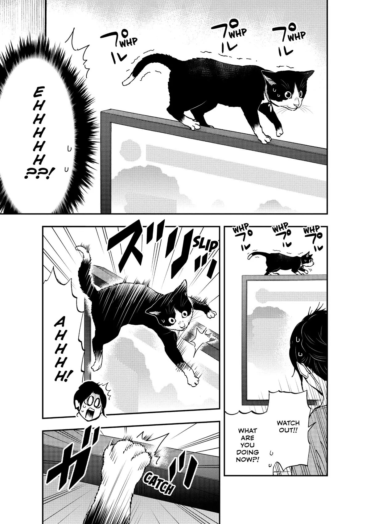 Read Cat + Gamer EN Manga Online