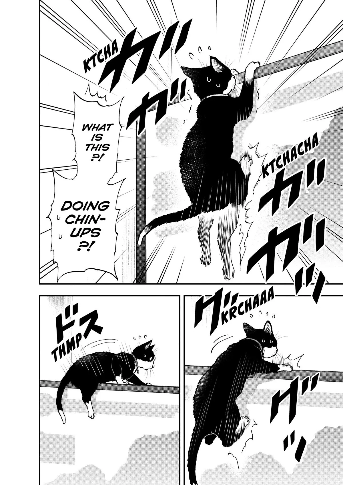 Read Cat + Gamer EN Manga Online