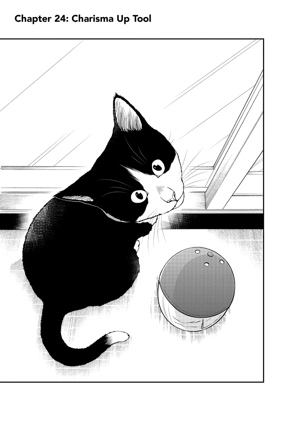 Read Cat + Gamer EN Manga Online
