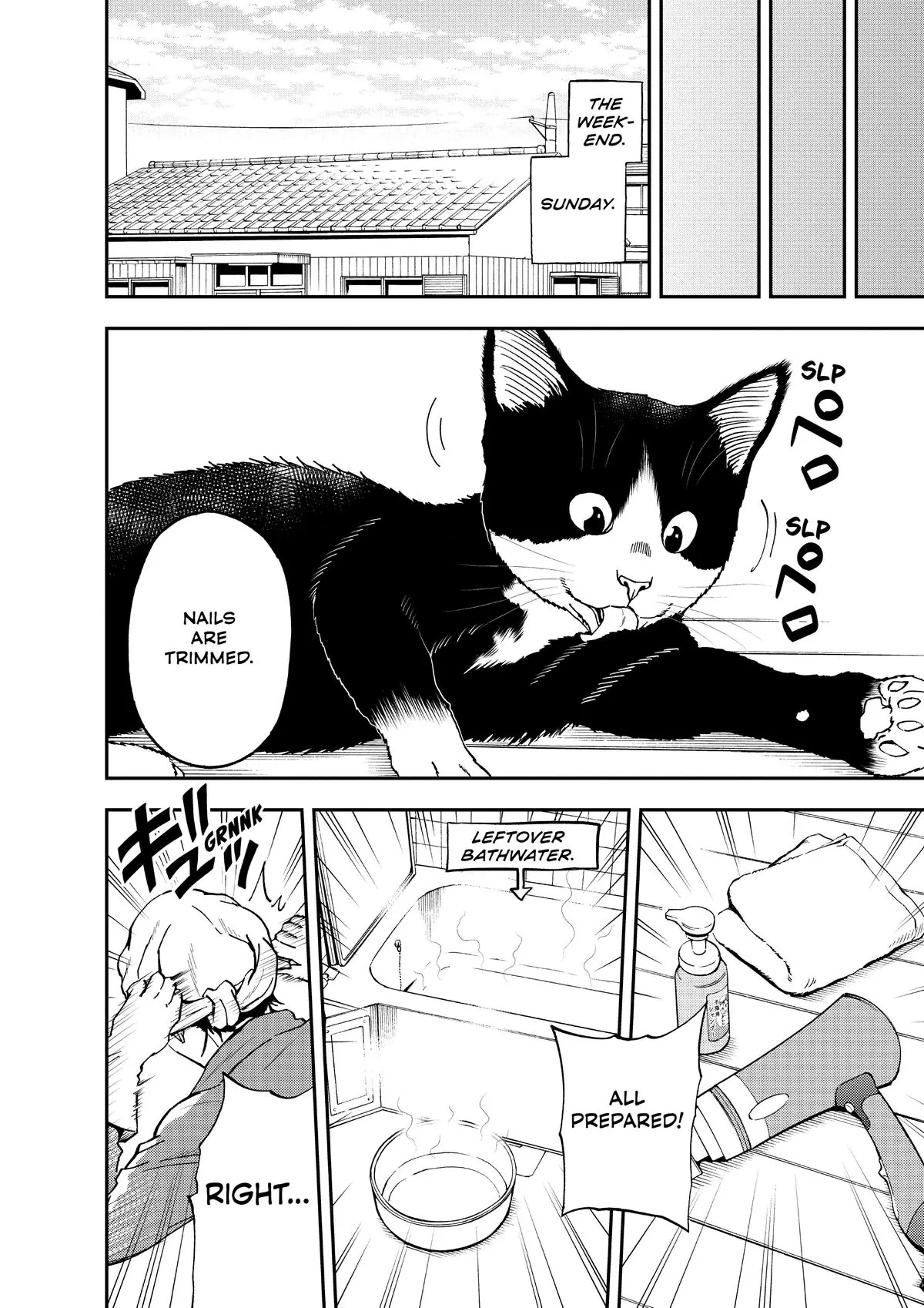 Read Cat + Gamer EN Manga Online