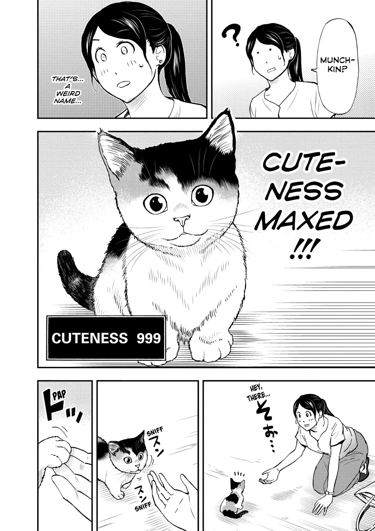 Read Cat + Gamer EN Manga Online
