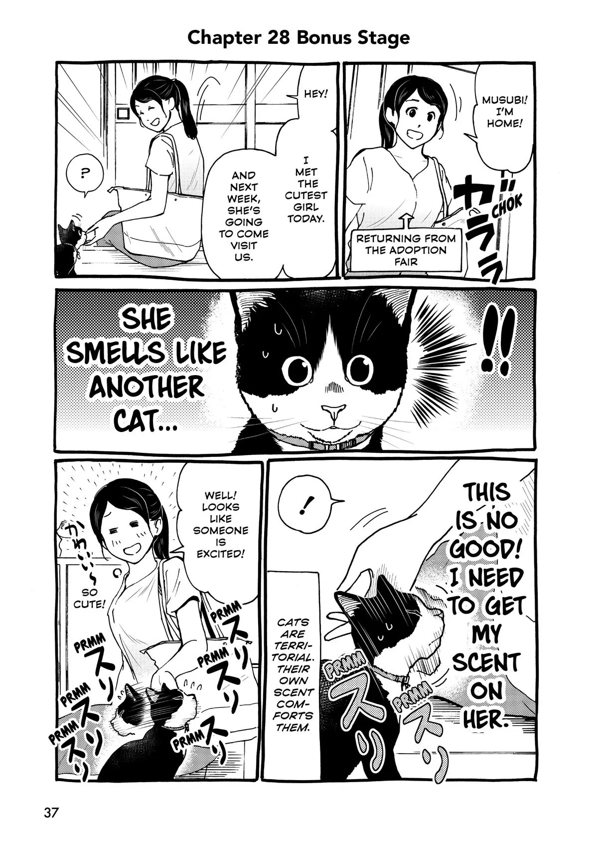 Read Cat + Gamer EN Manga Online