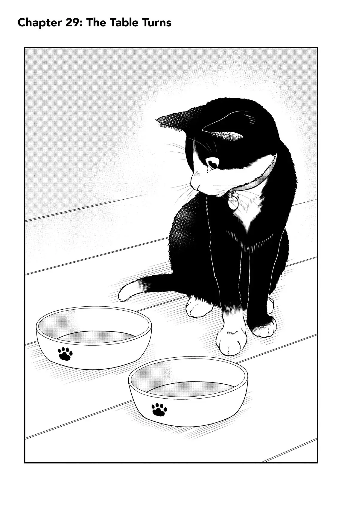 Read Cat + Gamer EN Manga Online