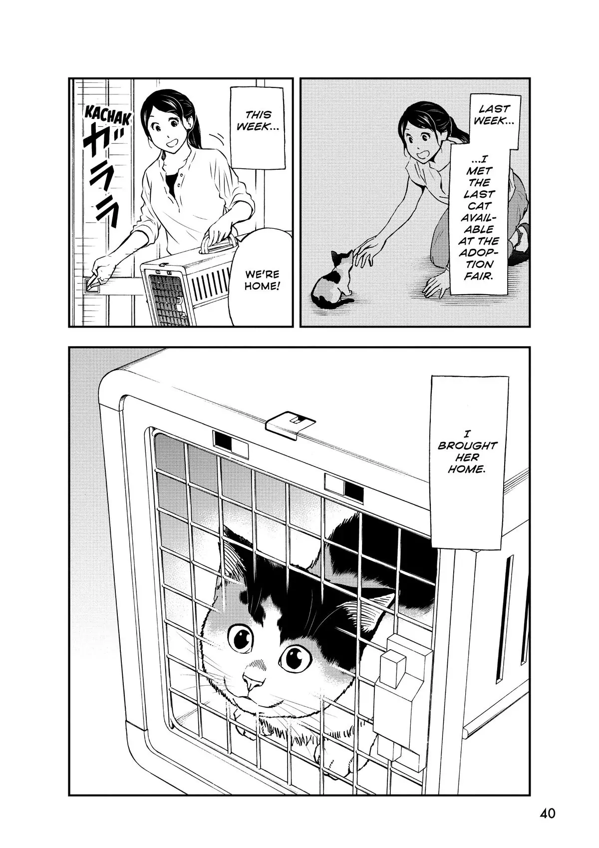 Read Cat + Gamer EN Manga Online