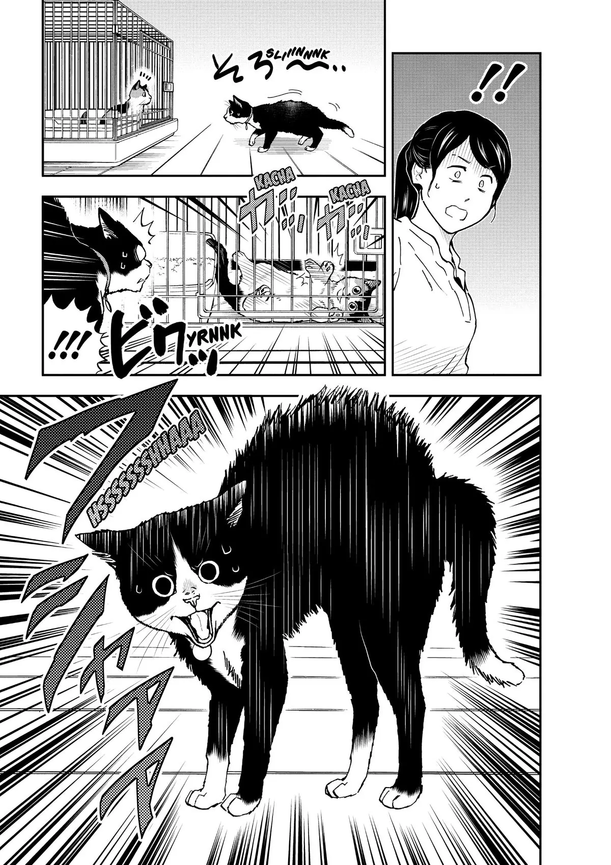 Read Cat + Gamer EN Manga Online