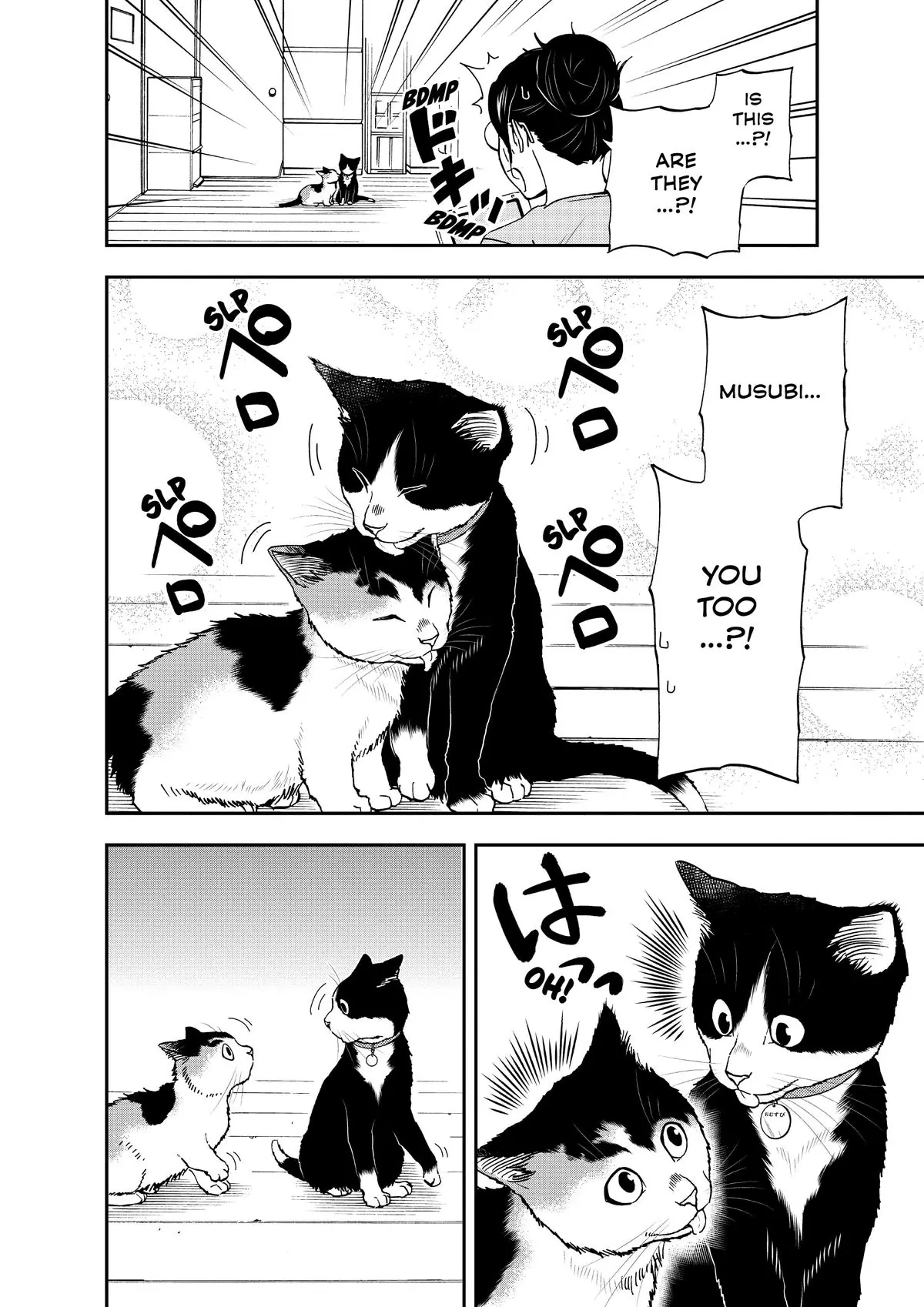Read Cat + Gamer EN Manga Online