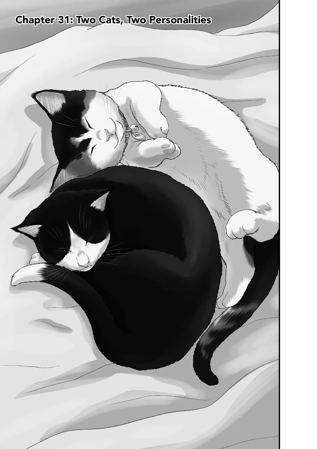 Read Cat + Gamer EN Manga Online