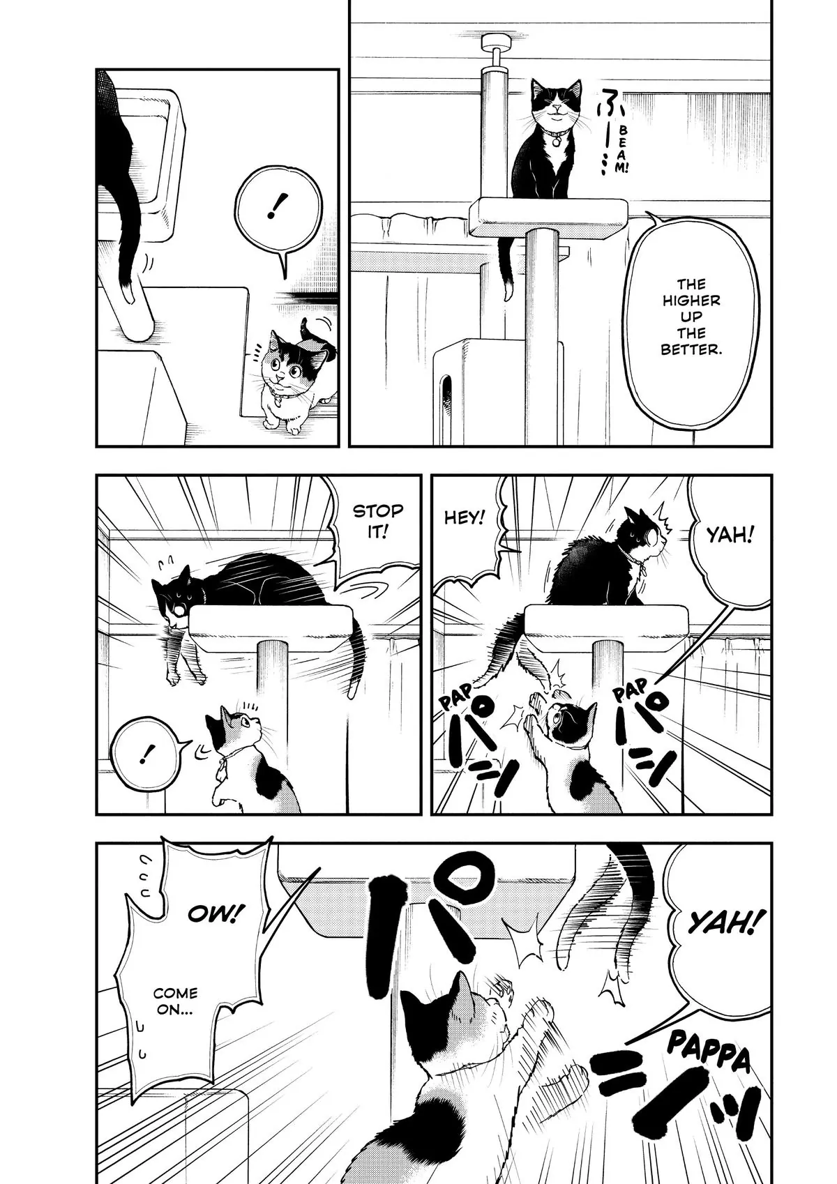 Read Cat + Gamer EN Manga Online