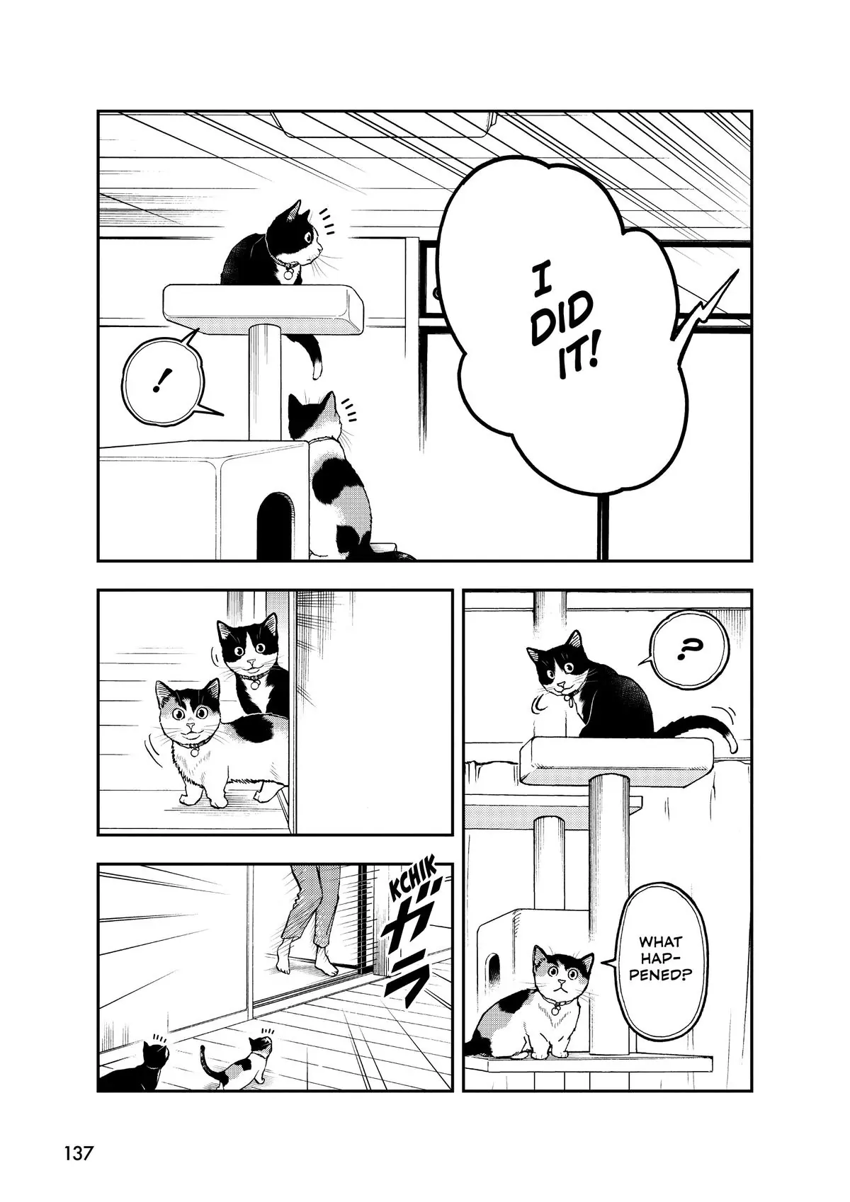 Read Cat + Gamer EN Manga Online