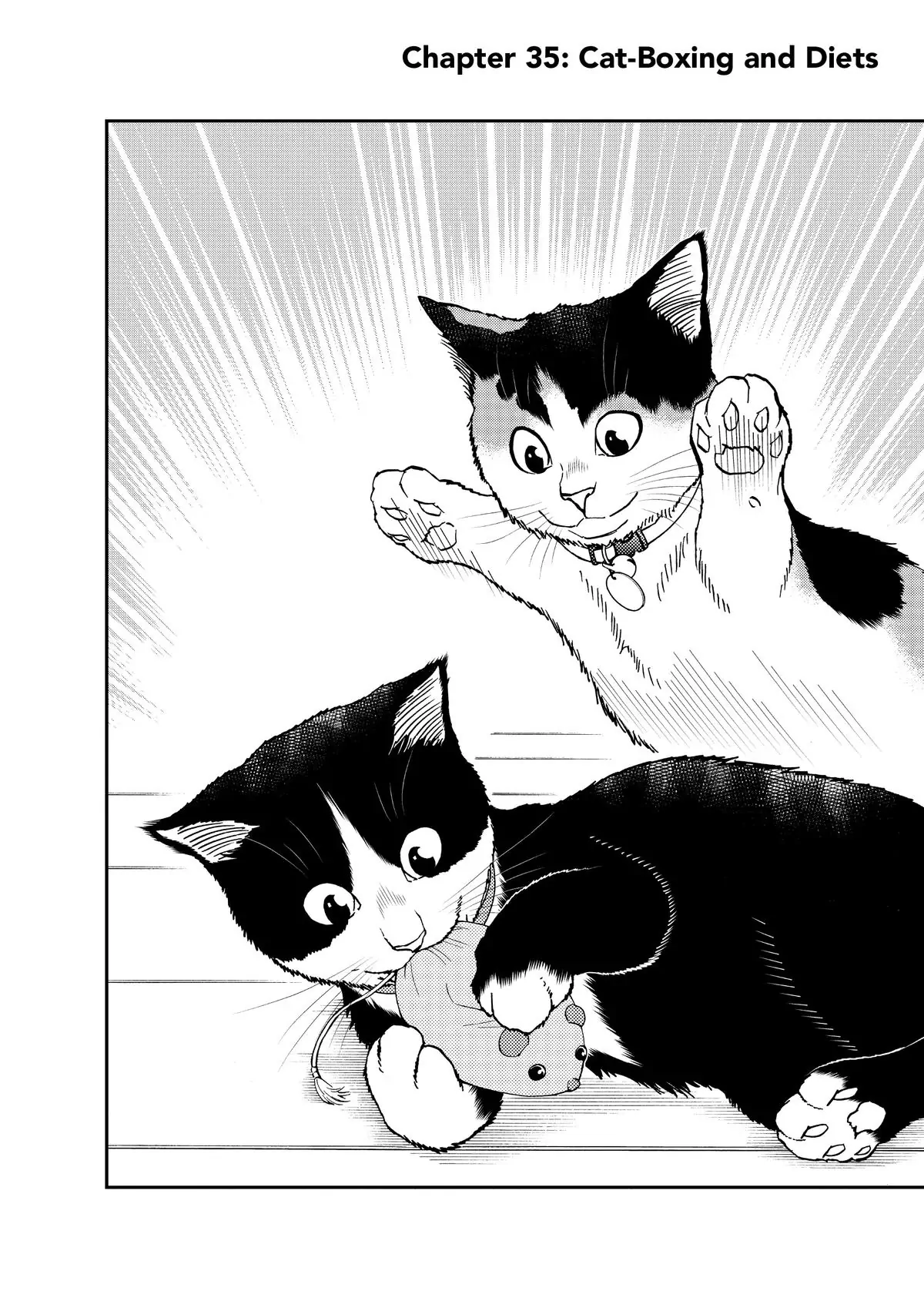 Read Cat + Gamer EN Manga Online