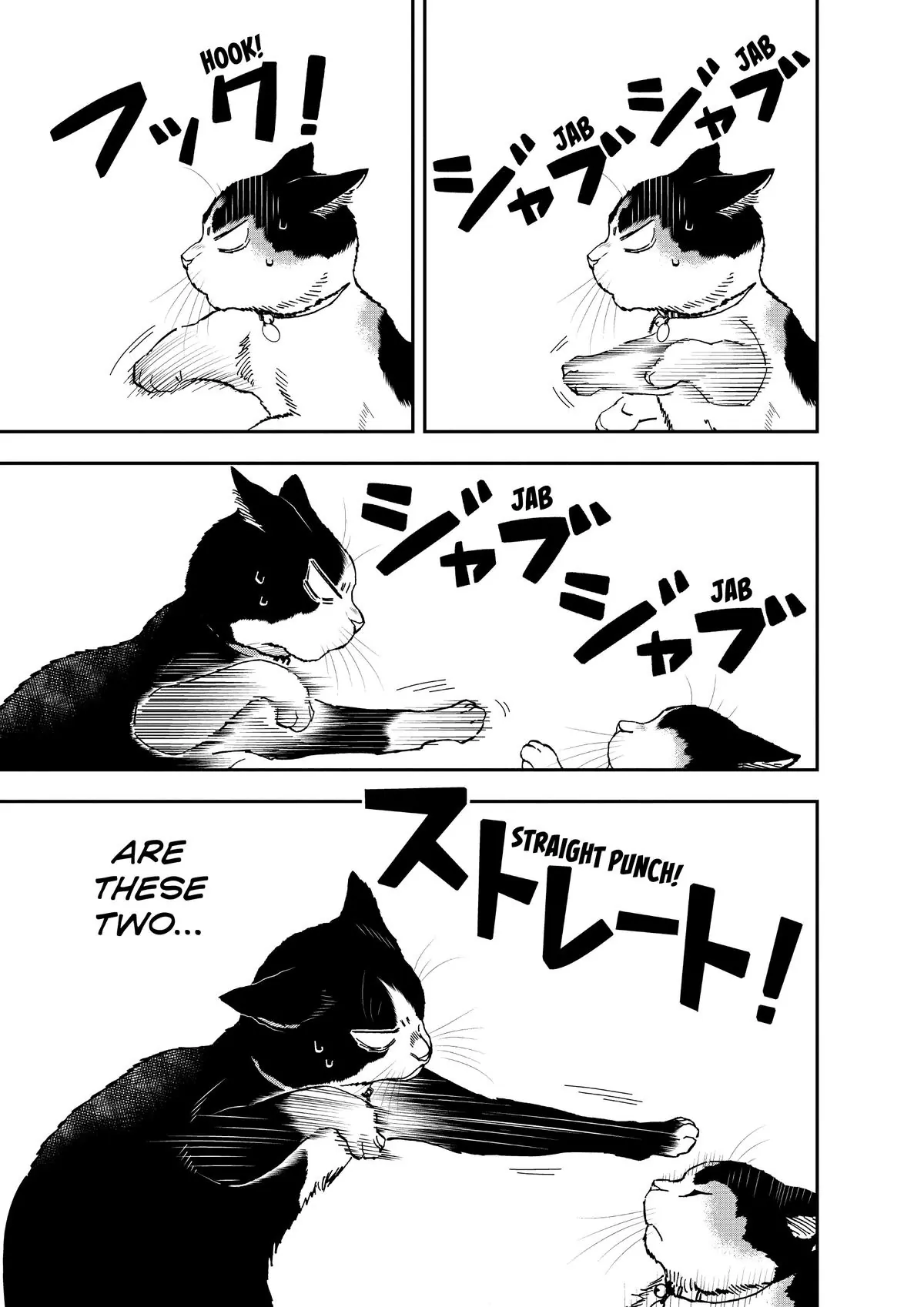 Read Cat + Gamer EN Manga Online