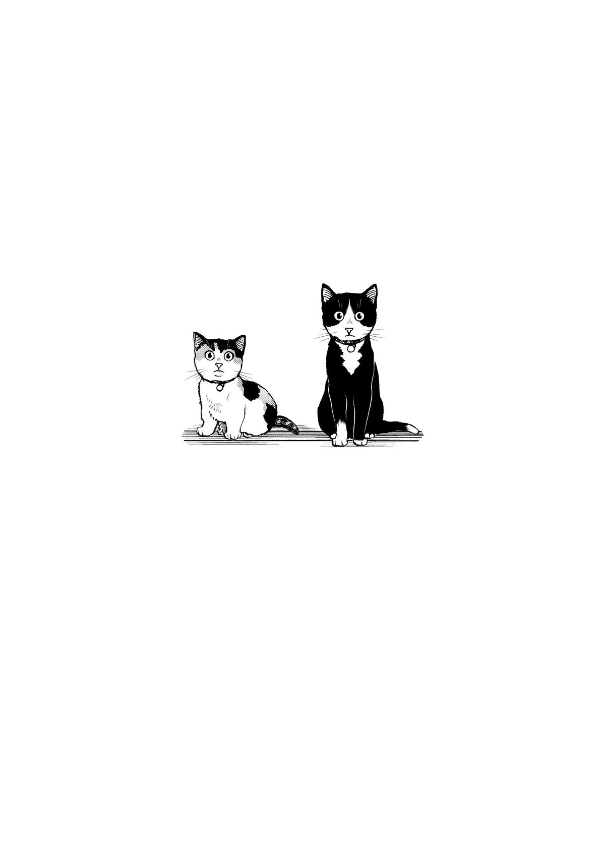 Read Cat + Gamer EN Manga Online