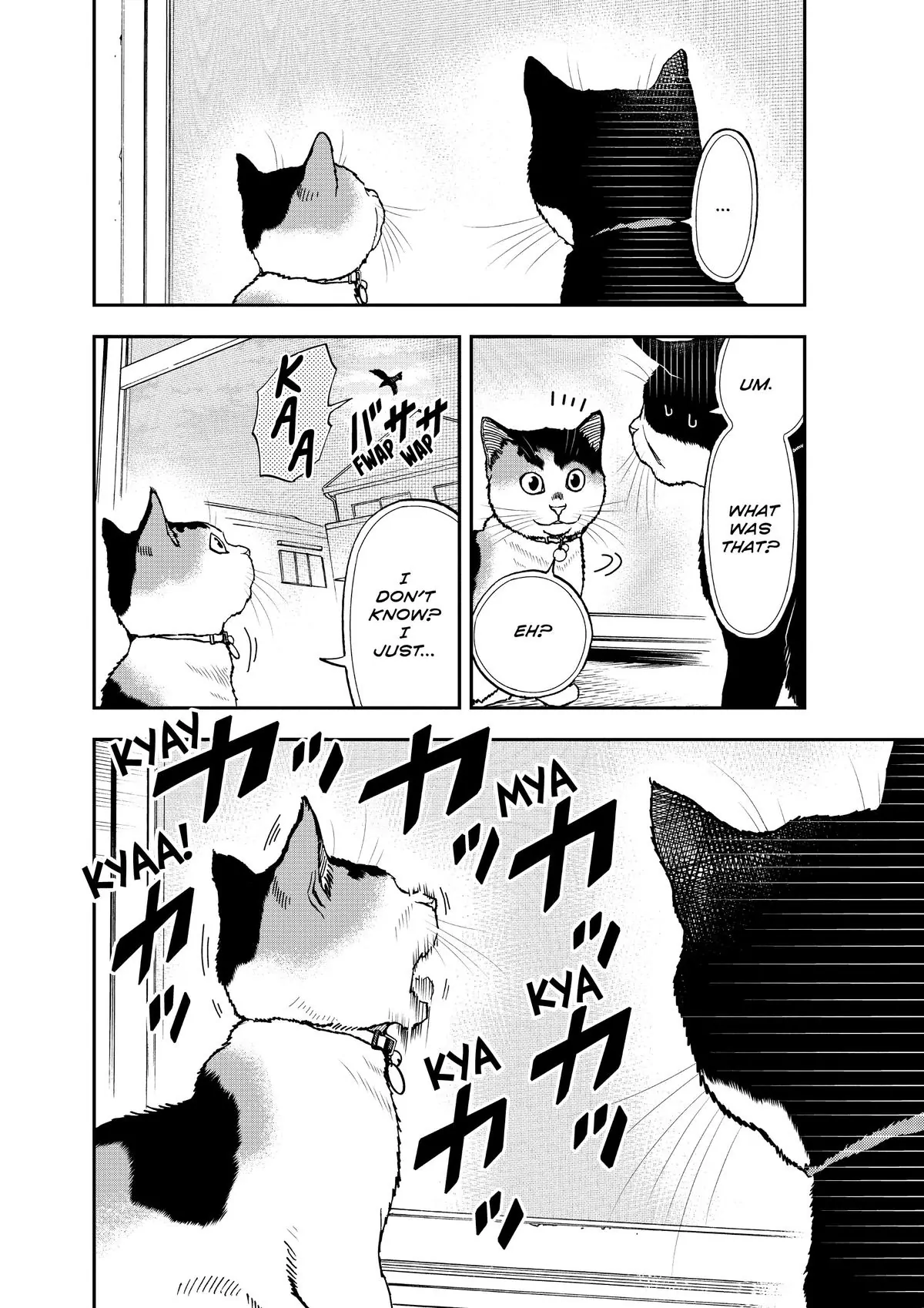 Read Cat + Gamer EN Manga Online
