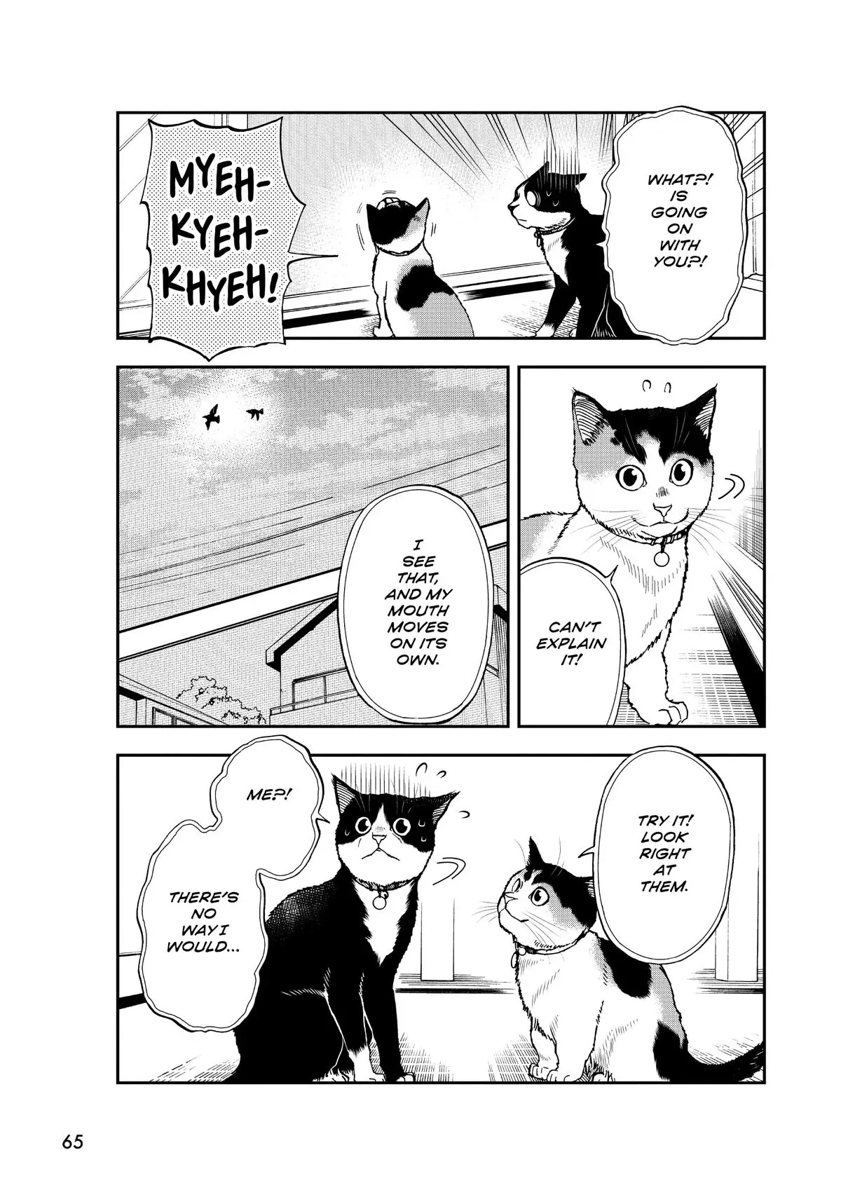 Read Cat + Gamer EN Manga Online