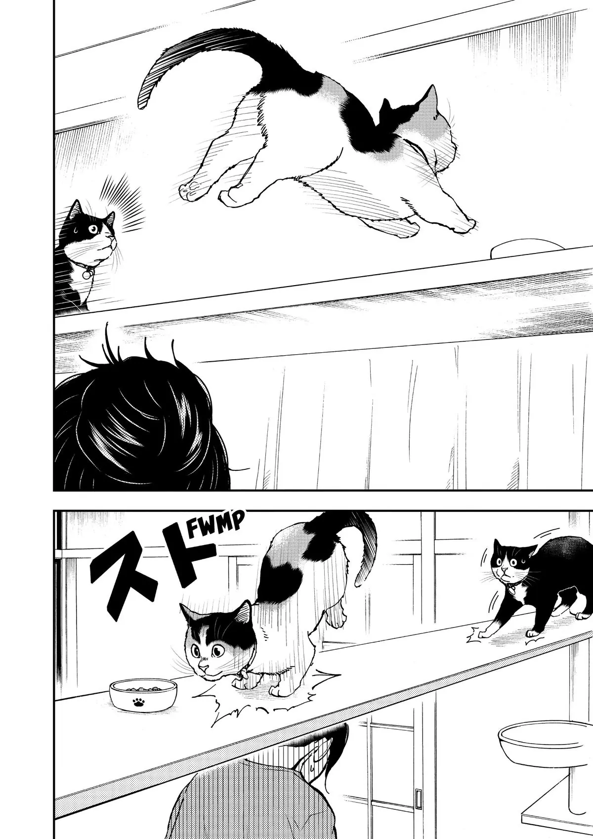 Read Cat + Gamer EN Manga Online