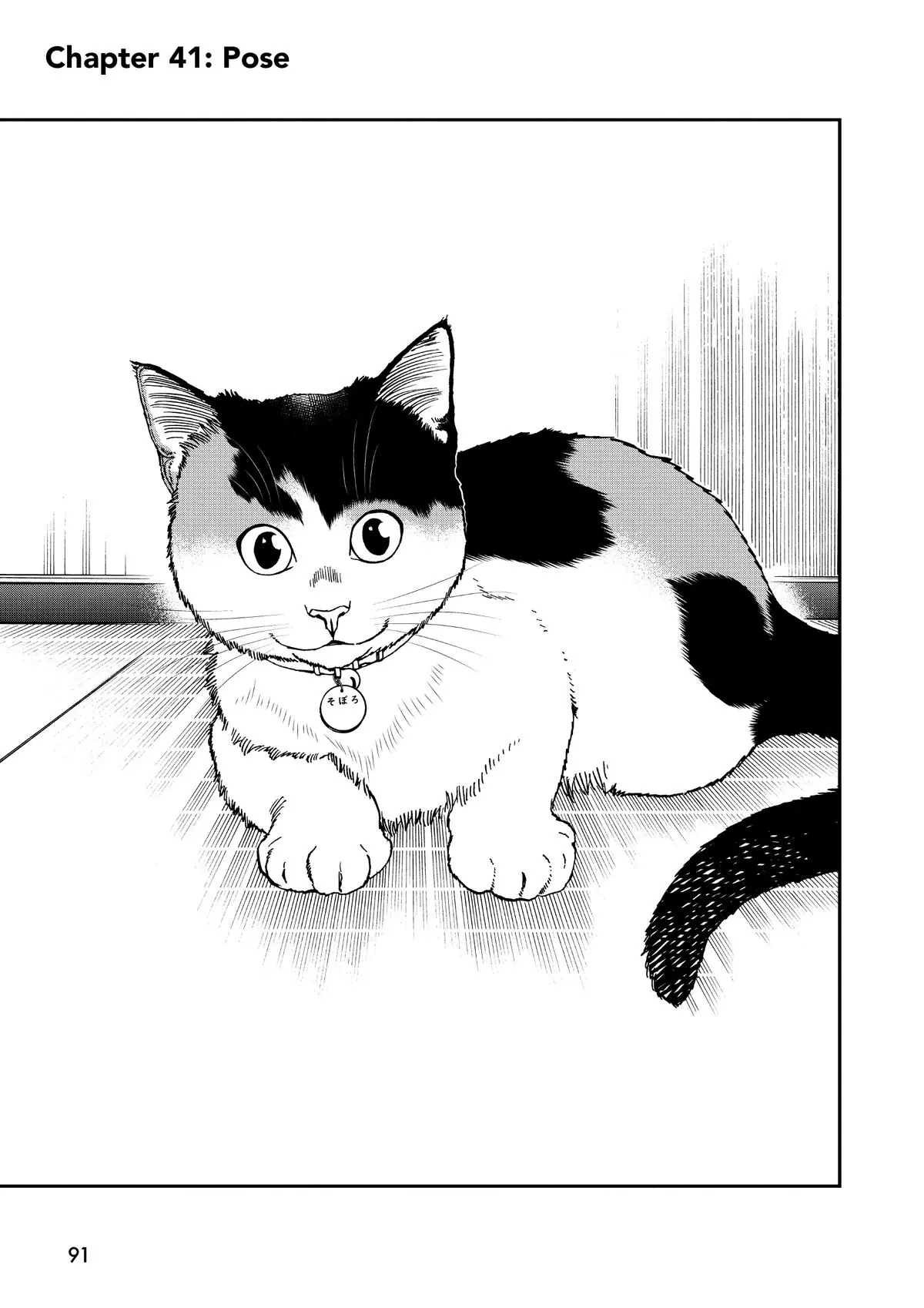 Read Cat + Gamer EN Manga Online