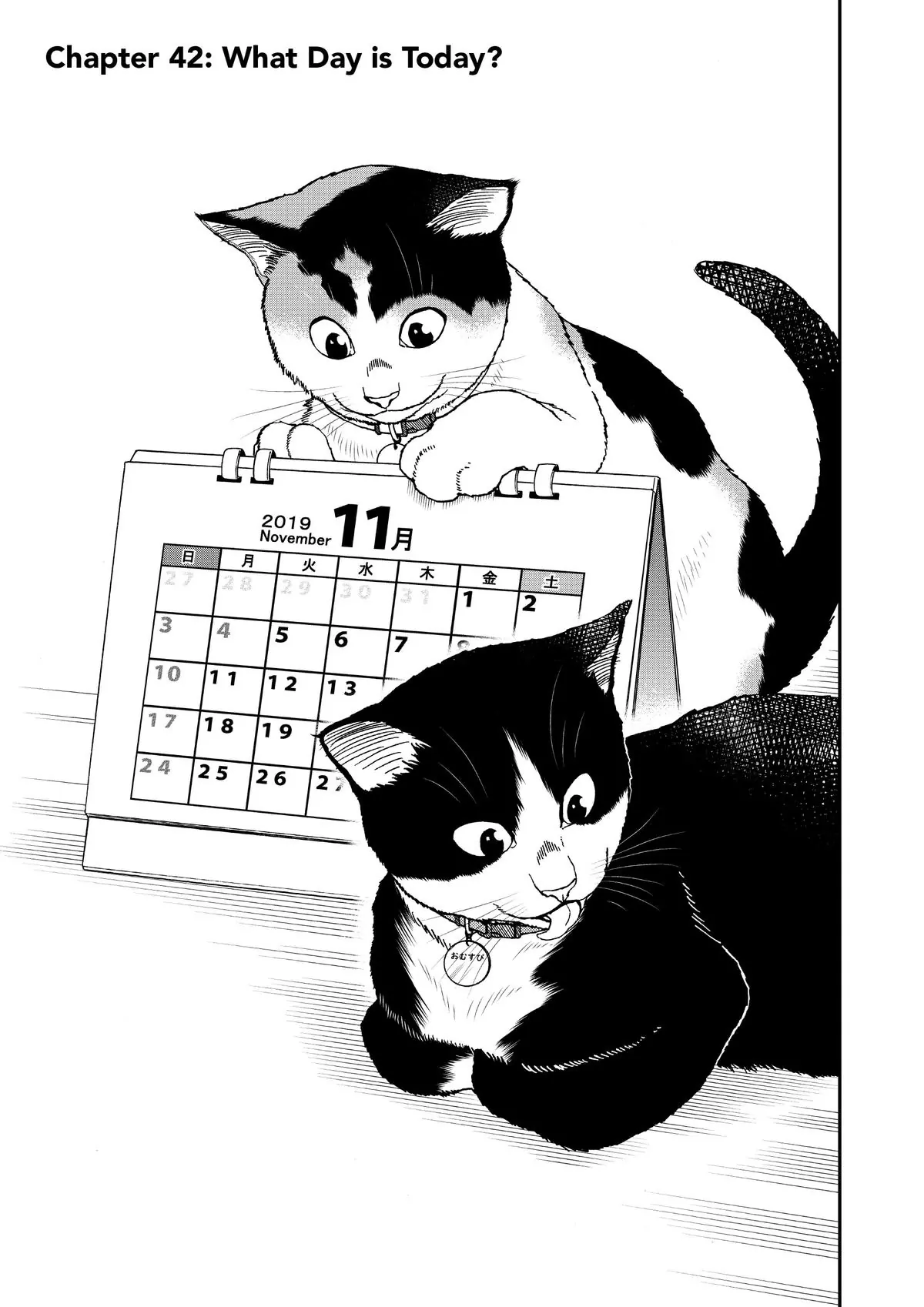 Read Cat + Gamer EN Manga Online