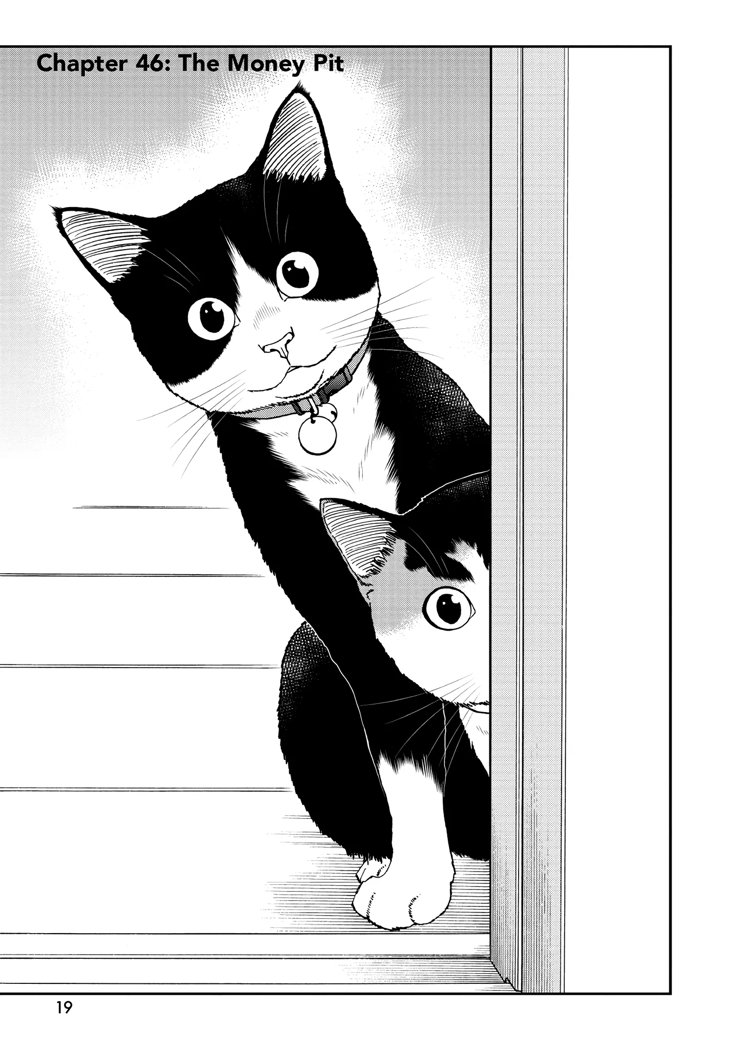 Read Cat + Gamer EN Manga Online