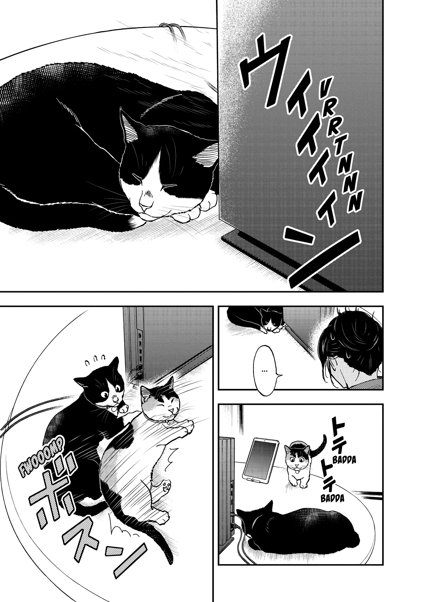Read Cat + Gamer EN Manga Online