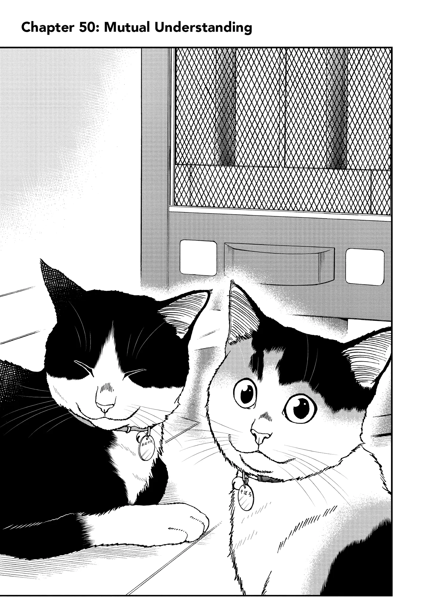 Read Cat + Gamer EN Manga Online
