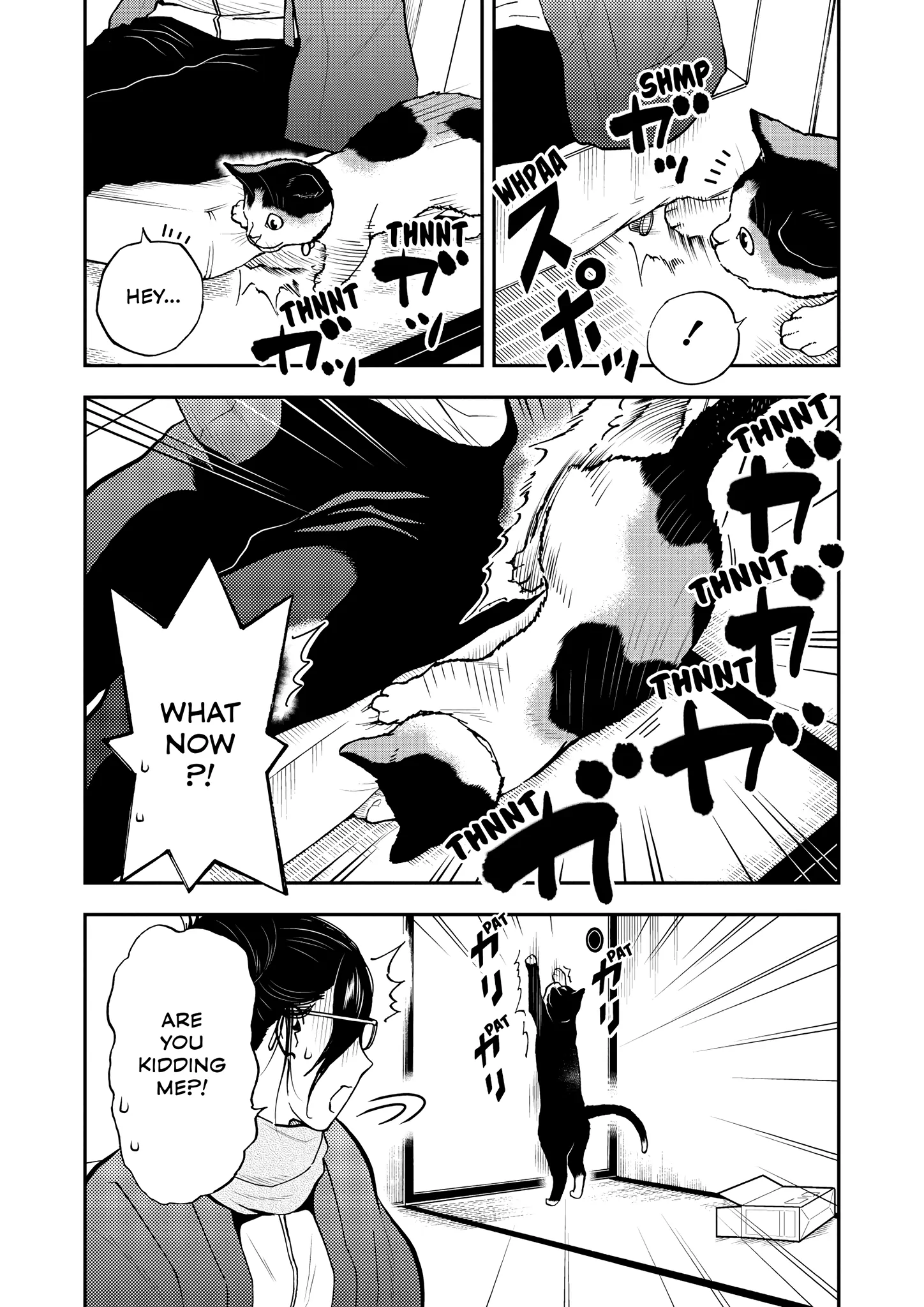 Read Cat + Gamer EN Manga Online
