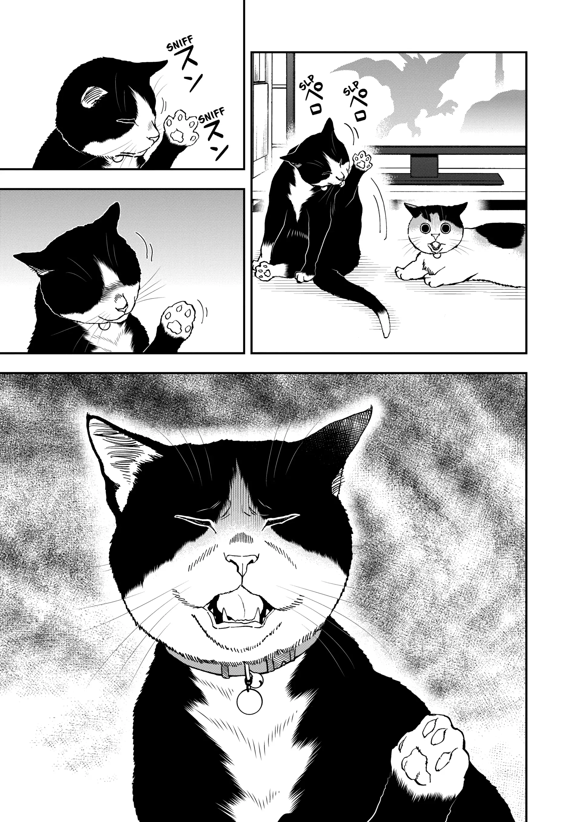 Read Cat + Gamer EN Manga Online
